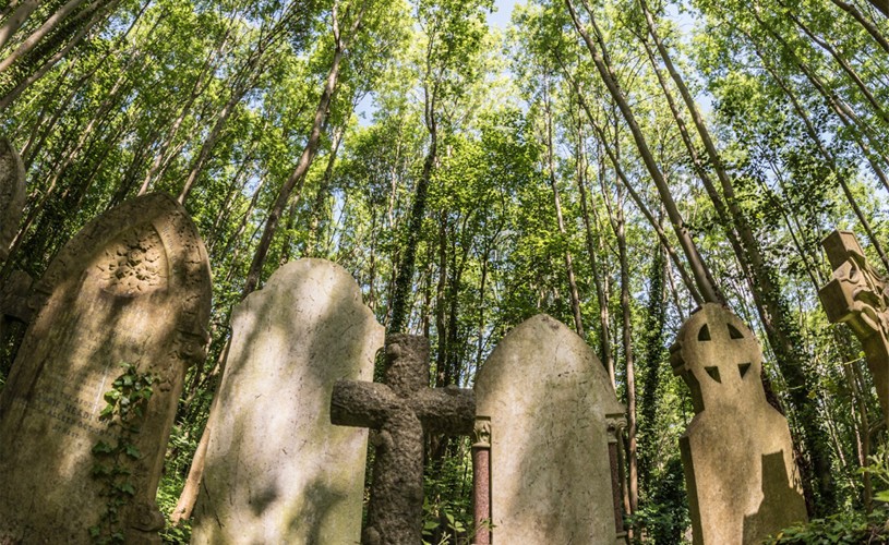 Gravestones and trees at Arnos Vale Cemetery